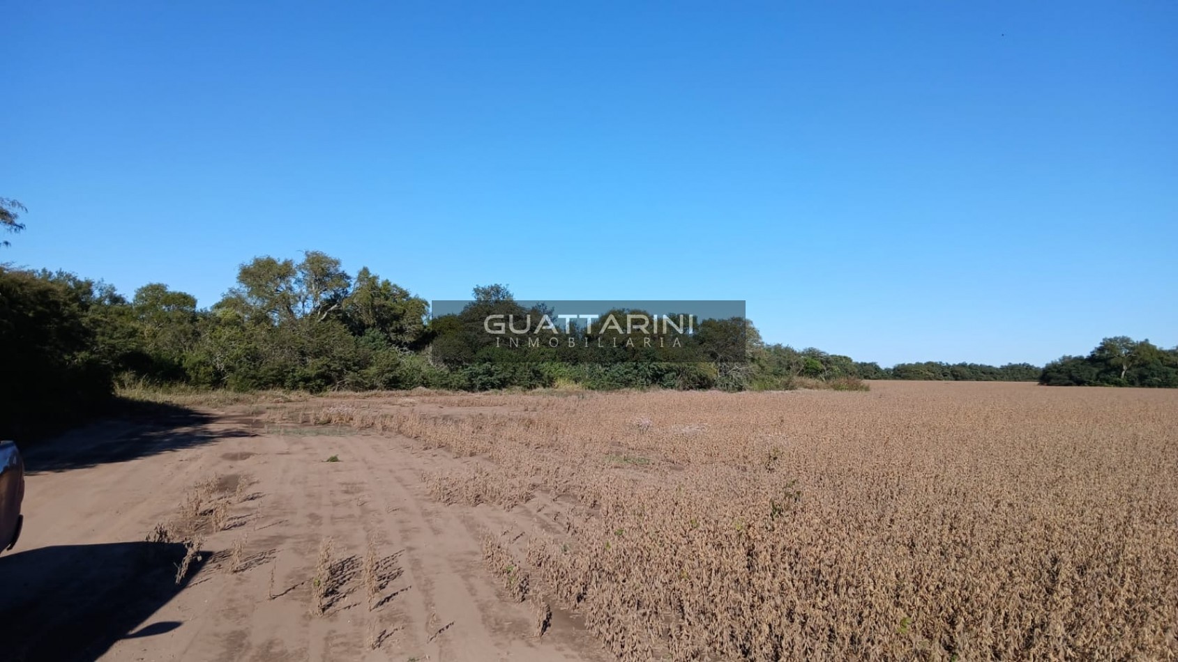 CAMPO AGRICOLA-DIEGO DE ROJAS (Cordoba)